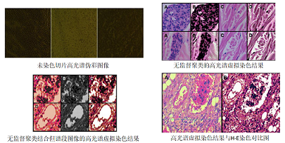 彩譜臺(tái)式分光測(cè)色儀CS-820N原理